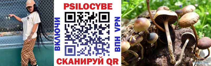 Галлюциногенные грибы Psilocybine cubensis Белый
